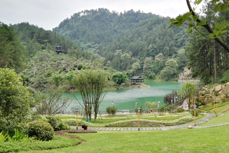 青云湖森林公园3 青云湖森林公园3